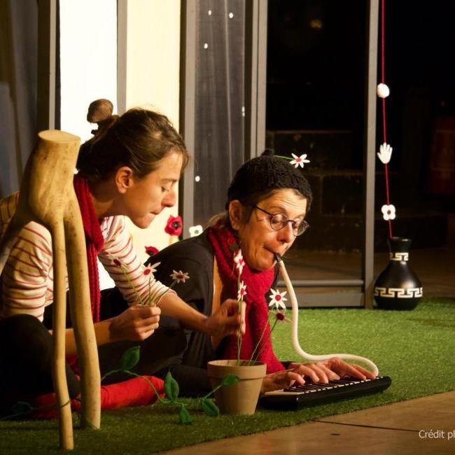 PETITES POUSSES D'INTERIEUR
