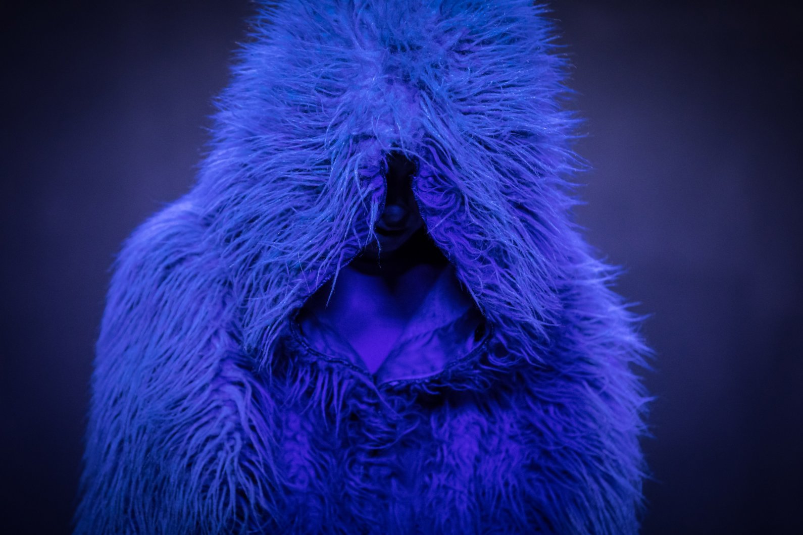 L'Orang-Outang bleue