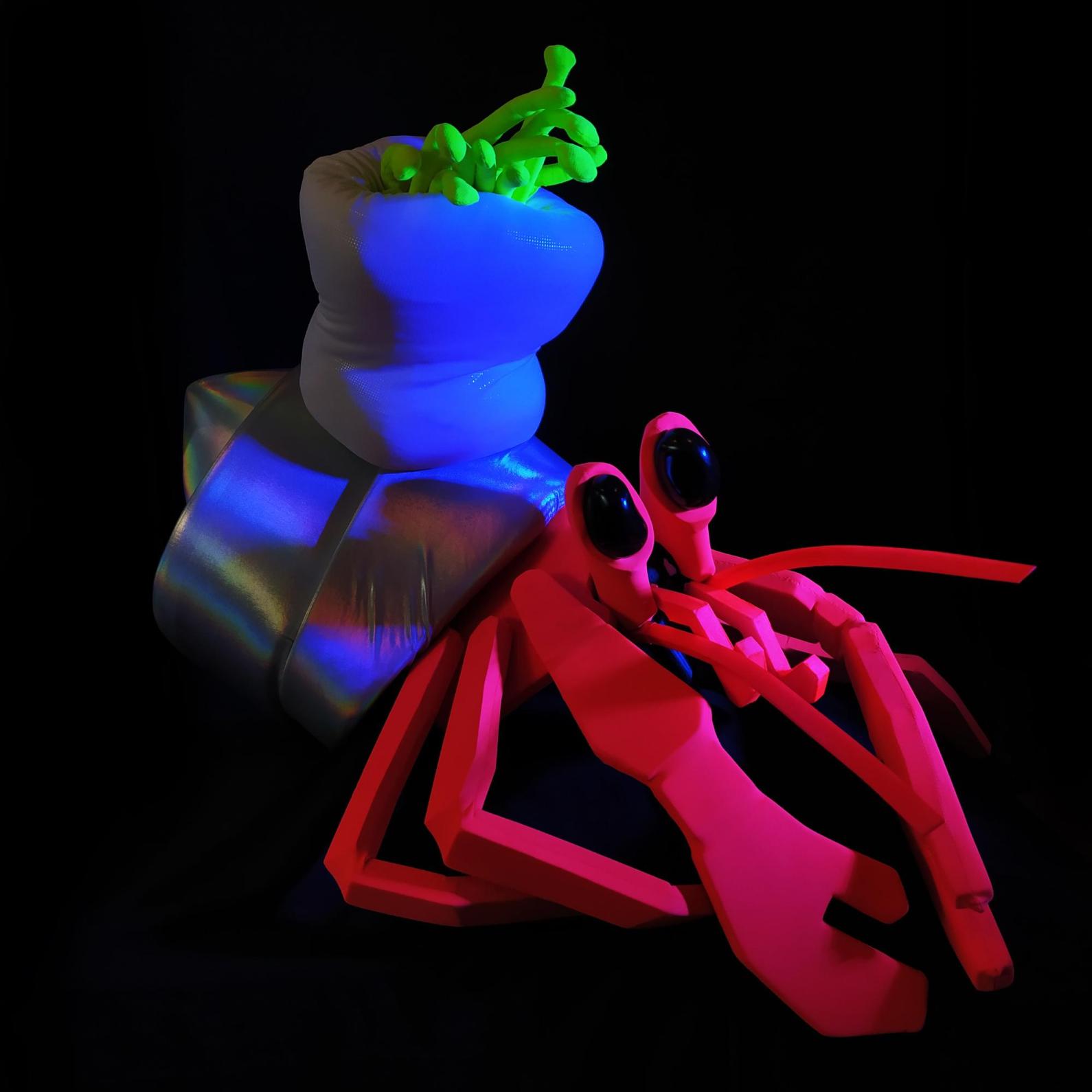 Coquille Diamant - Marc de Blanchard