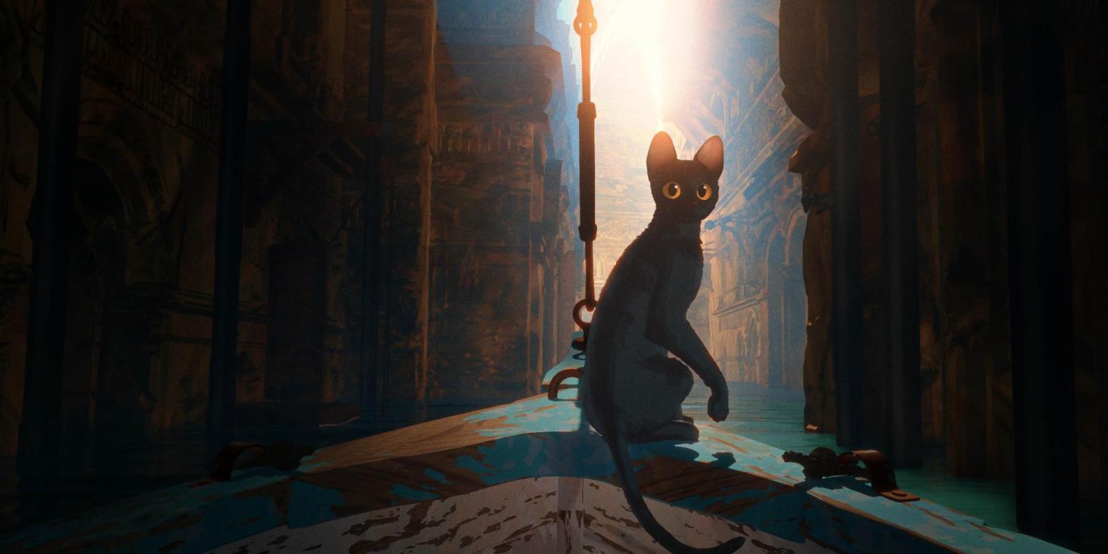 Flow le chat qui n'avait plus peur de l'eau 
